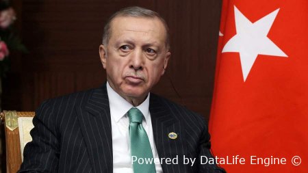 Эрдоган заявил Зеленскому о важности дипломатического решения конфликта на Украине